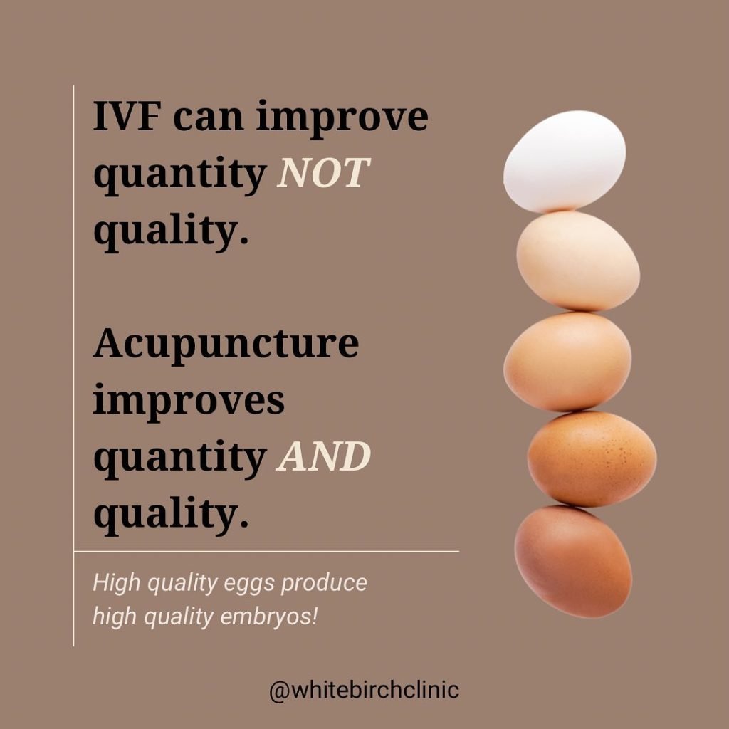 Acupuncture Imrpoves Quantity and Quality of Eggs