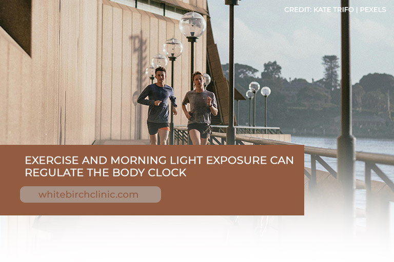 Exercise and morning light exposure can regulate the body clock