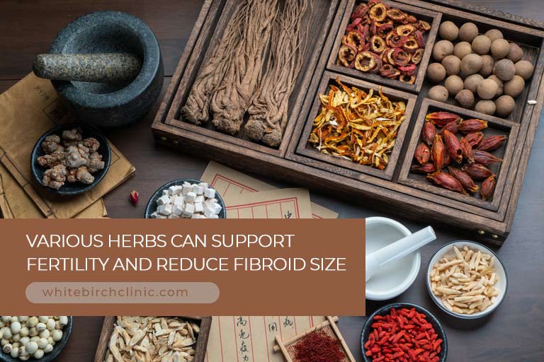 Various herbs can support fertility and reduce fibroid size