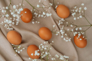 The TCM Blueprint for Better Egg Quality